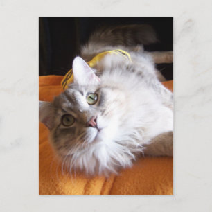 carte postale au raisin mignon