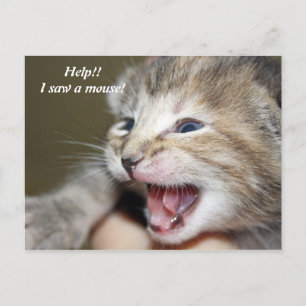 Carte Postale Au secours ! ! J'ai vu une souris !