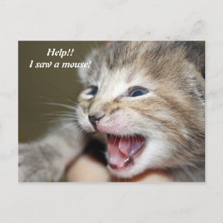 Carte Postale Au secours ! ! J'ai vu une souris !
