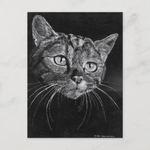 Carte postale au visage de chat