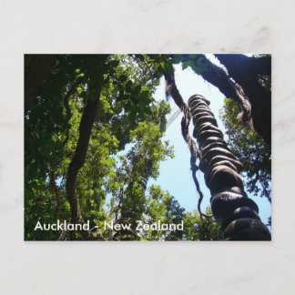 Carte postale Auckland