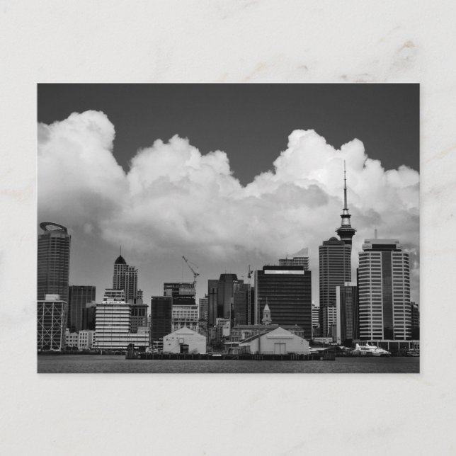 Carte Postale Auckland Nouvelle-Zélande (Devant)