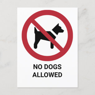 Carte Postale Aucun chien autorisé, signe d'interdiction