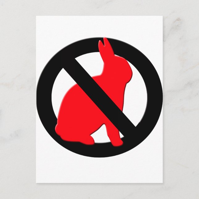 Carte Postale Aucun lapin autorisé (Devant)