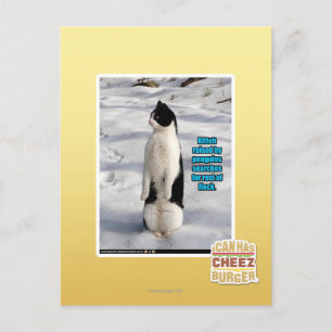Carte Postale Augmenté par des pingouins