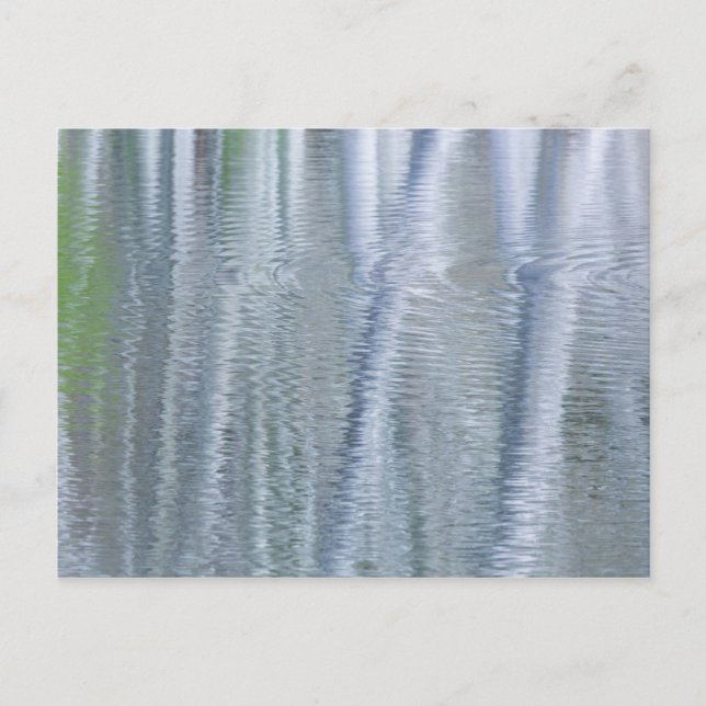 Carte Postale Aulnes | Bainbridge Island, WA (Devant)