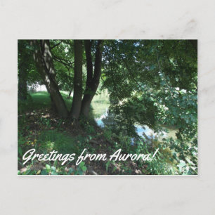 Carte postale Aurora