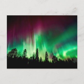 Carte Postale aurora boréale