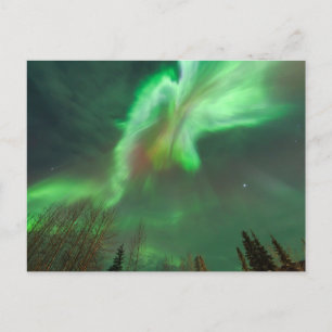 Carte Postale aurora boréale   Fairbanks