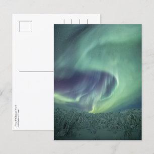 Carte Postale Aurora Borealis