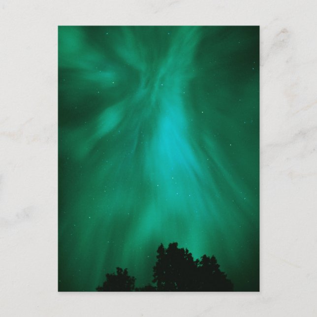 Carte Postale Aurora Borealis Nuit | Ontario, Canada (Devant)