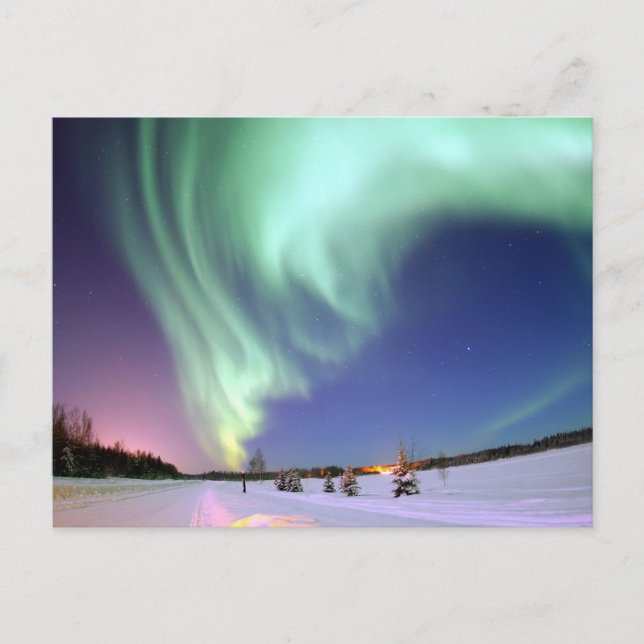Carte Postale Aurora Borealis, ou Northern Lights, Alaska (Devant)