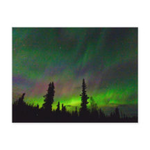 Aurora coloré au-dessus de l'Alaska