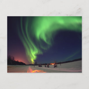 Carte Postale aurores boréales au lac Bear
