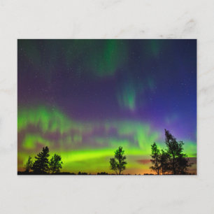 Carte Postale Aurores boréales   Manitoba Canada