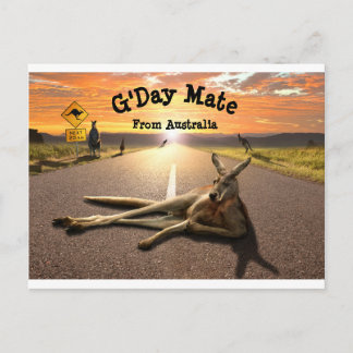 Carte postale Aussie Kangaroo