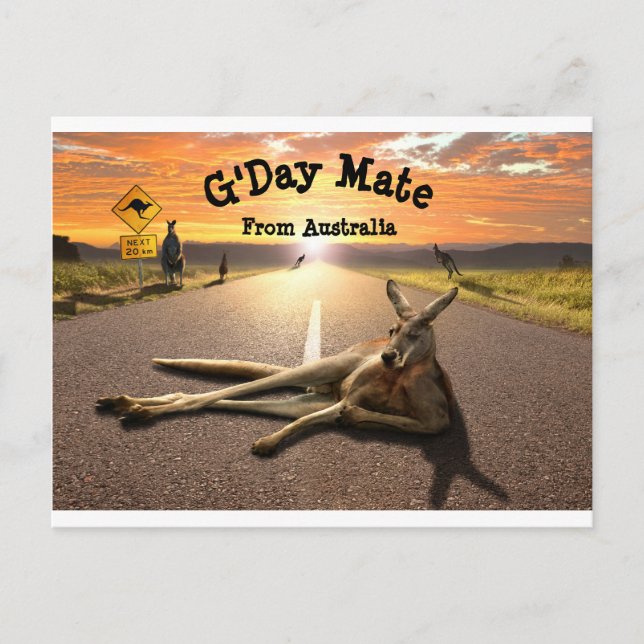 Carte postale Aussie Kangaroo (Devant)