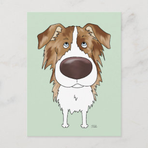 Carte Postale Aussies - Gros nez et cul