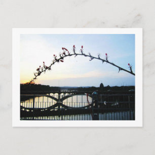 Carte Postale Austin Texas