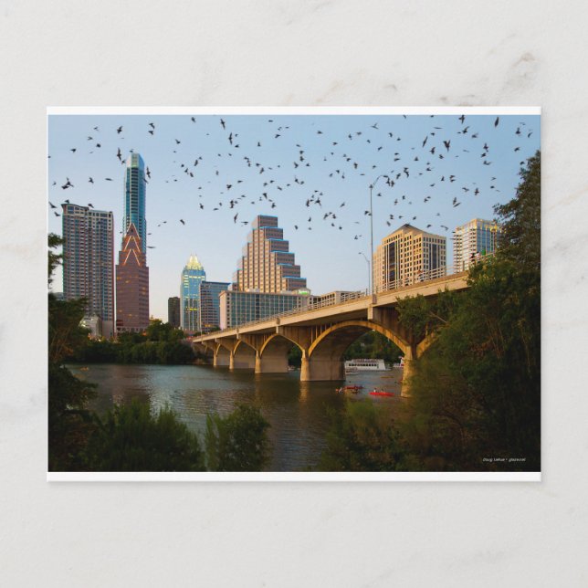 Carte Postale Austin, Texas Congress Bridge Bats (Devant)