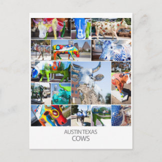 Carte Postale Austin Texas Cows
