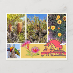 Carte postale Australie