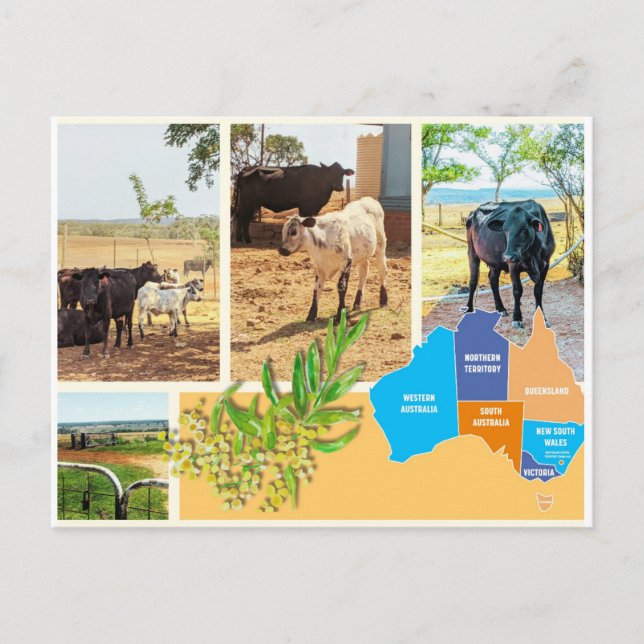 Carte postale Australie (Devant)