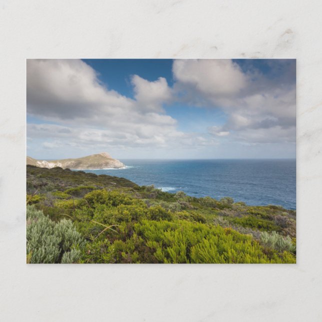 Carte Postale Australie du sud-ouest, Albany (Devant)