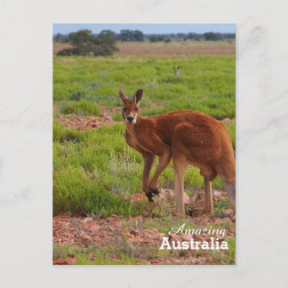 Carte postale Australie Extraordinaire