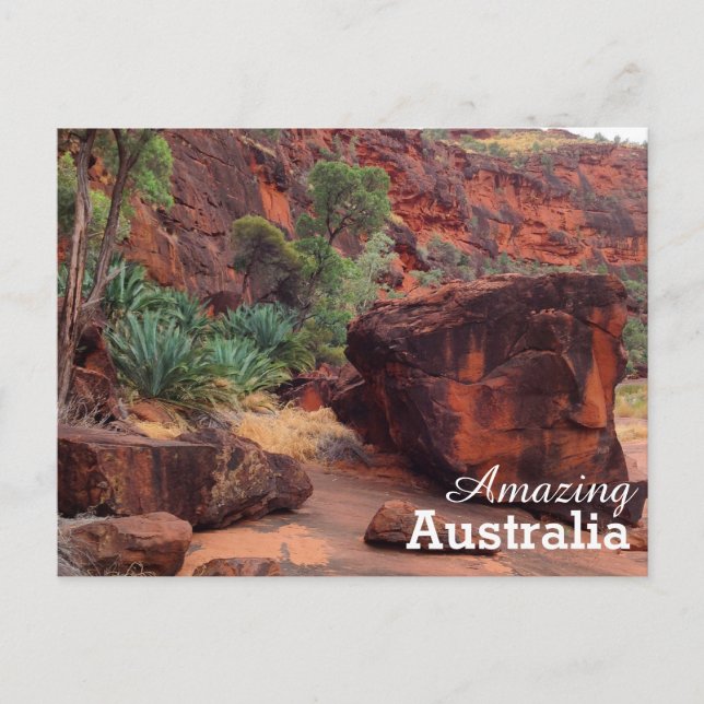Carte postale Australie Extraordinaire (Devant)