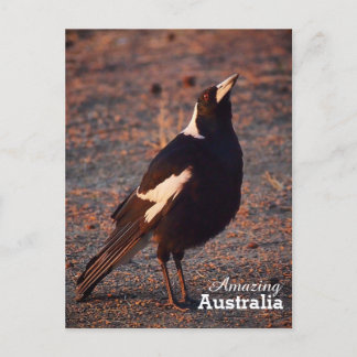 Carte postale Australie Extraordinaire