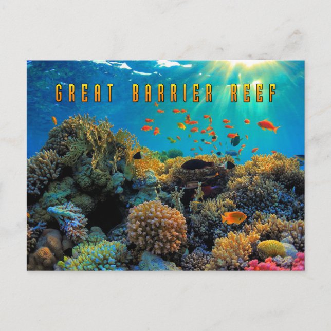 Carte Postale Australie Grande barrière de corail stylisée (Devant)