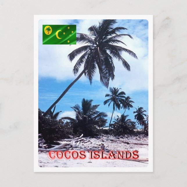 Carte Postale Australie - Îles Cocos (Keeling) - Palmiers - (Devant)