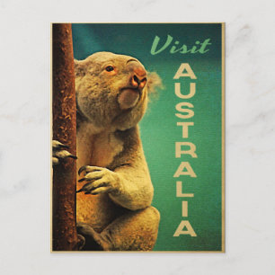 Carte Postale Australie Koala