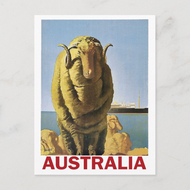 Carte Postale Australie, moutons sur la côte (Devant)