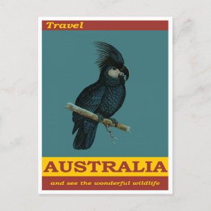 Carte Postale Australie Noir Cockatoo Vintage voyage d'oiseaux