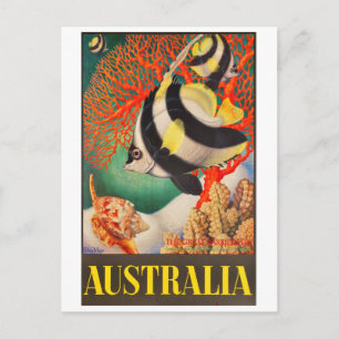 Carte Postale Australie, poissons tropicaux à la Grande Barrière
