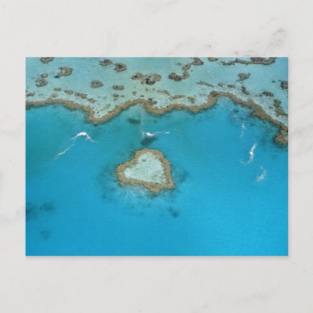 Carte Postale Australie, Queensland, Îles Whitsunday, (Devant)