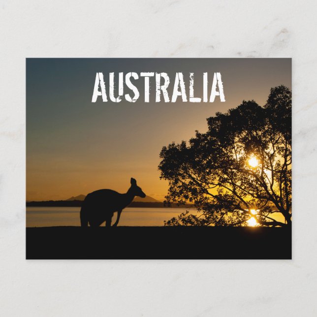 Carte Postale Australie Queensland Mounts Kangaroo Sunset (Devant)