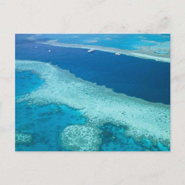 Carte Postale Australie, Queensland, Whitsunday Coast, Great 5 (Devant)