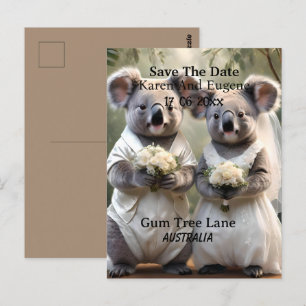 Carte Postale Australien Koala Bear Mariage blanc