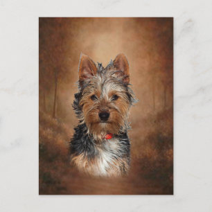 Carte Postale Australien Silky Terrier