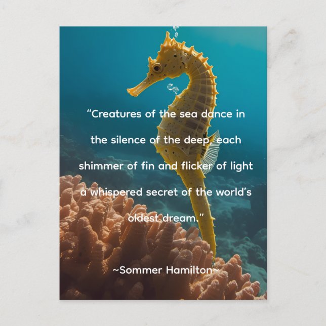 Carte Postale Author Collection by Author Sommer Hamilton (Devant)