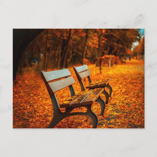 Carte postale Automne (Devant)