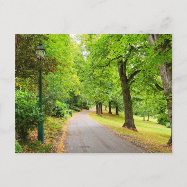 Carte Postale Automne (Devant)