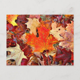 Carte Postale Automne