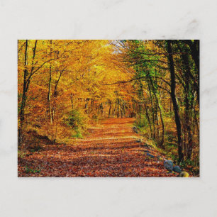 Carte Postale Automne