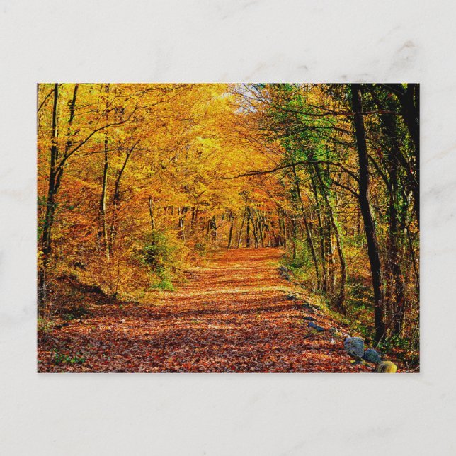 Carte Postale Automne (Devant)
