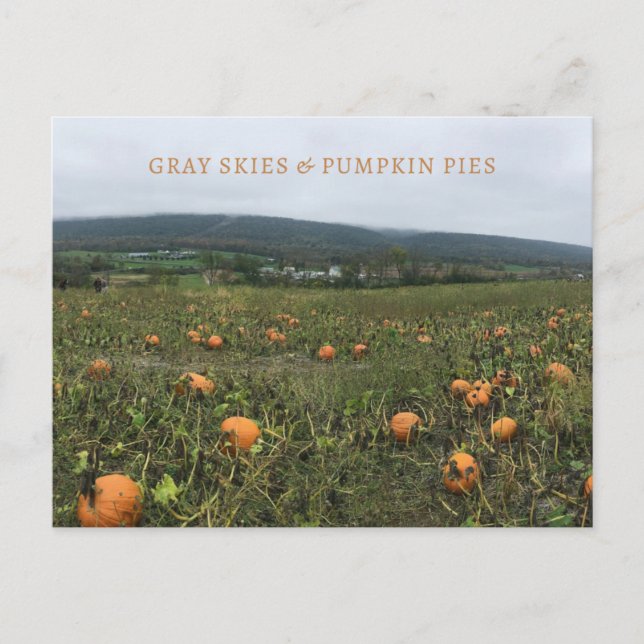 Carte postale Automne (Devant)