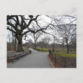 Carte Postale Automne à Central Park NYC
